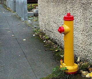 Hydrant Mfg: Hamar / Country of Origin: Iceland