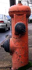 photo of Smith & Watson Iron Works hydrant