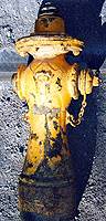 Photo of TWW hydrant